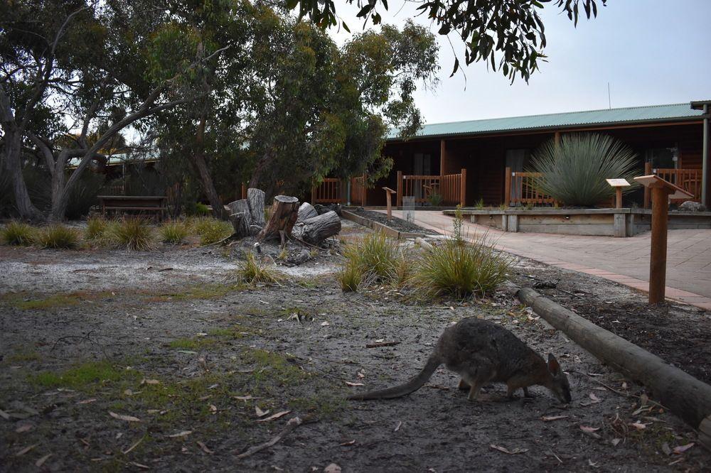 Kangaroo Island Wilderness Retreat Flinders Chase Eksteriør bilde