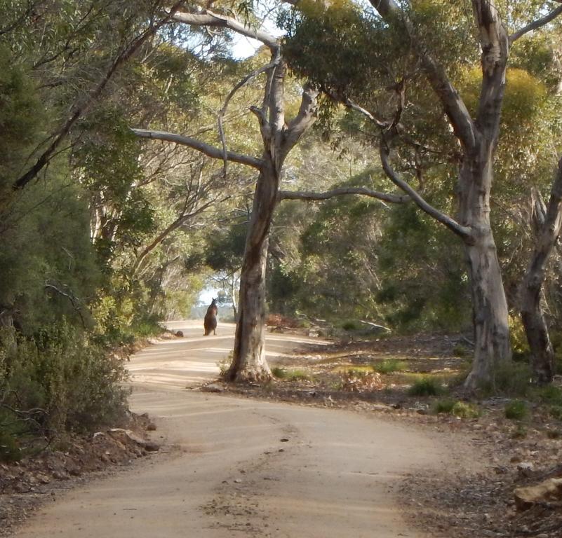 Kangaroo Island Wilderness Retreat Flinders Chase Eksteriør bilde