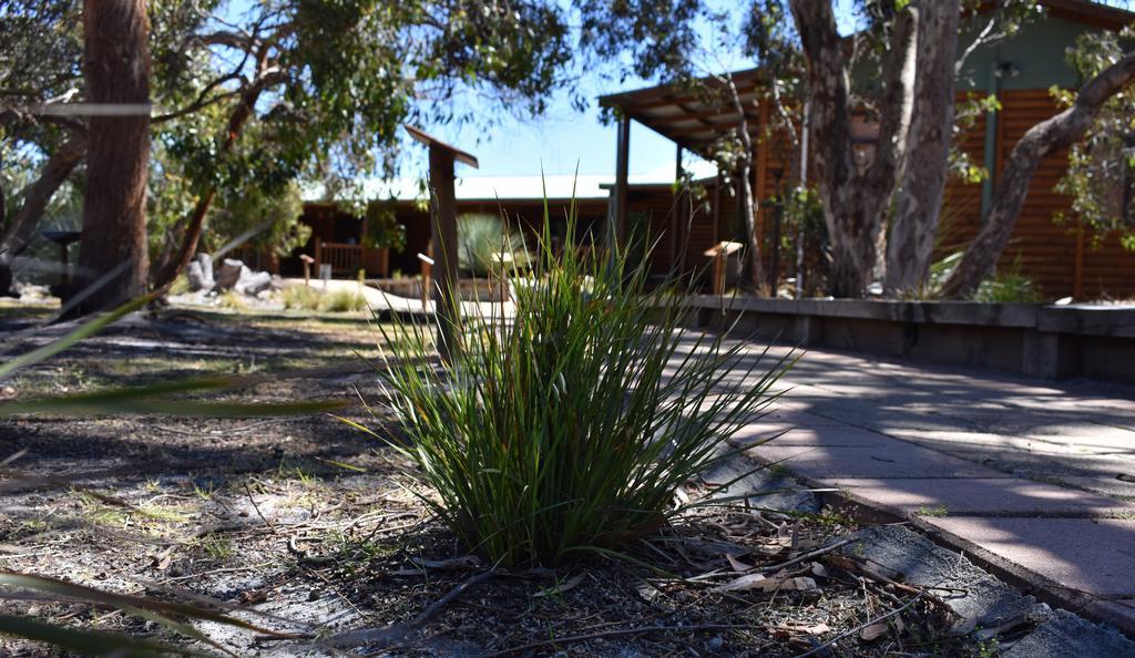 Kangaroo Island Wilderness Retreat Flinders Chase Eksteriør bilde
