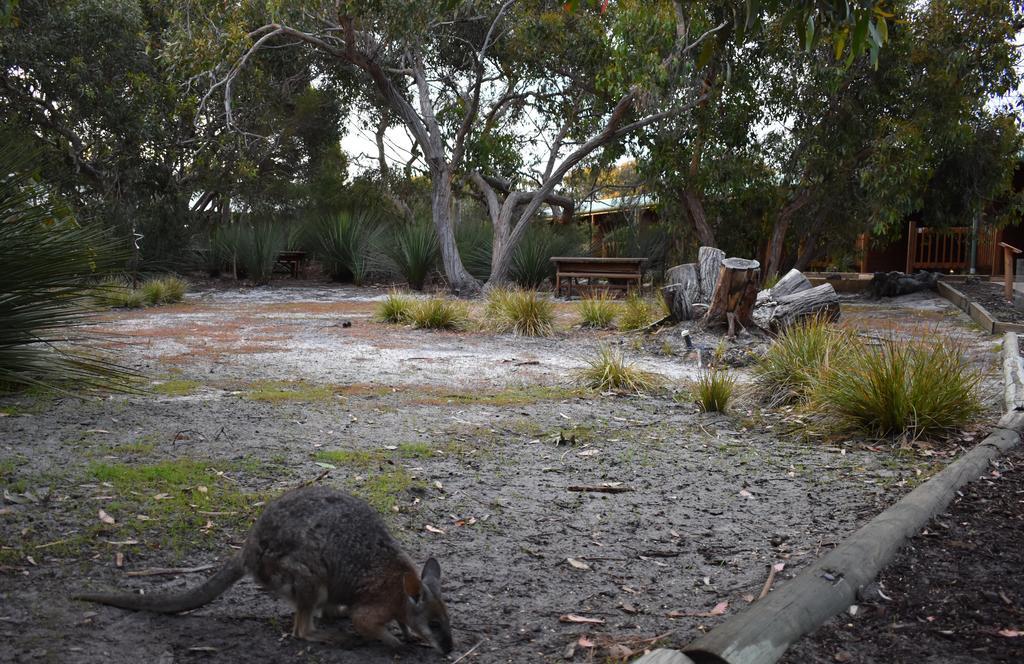 Kangaroo Island Wilderness Retreat Flinders Chase Eksteriør bilde
