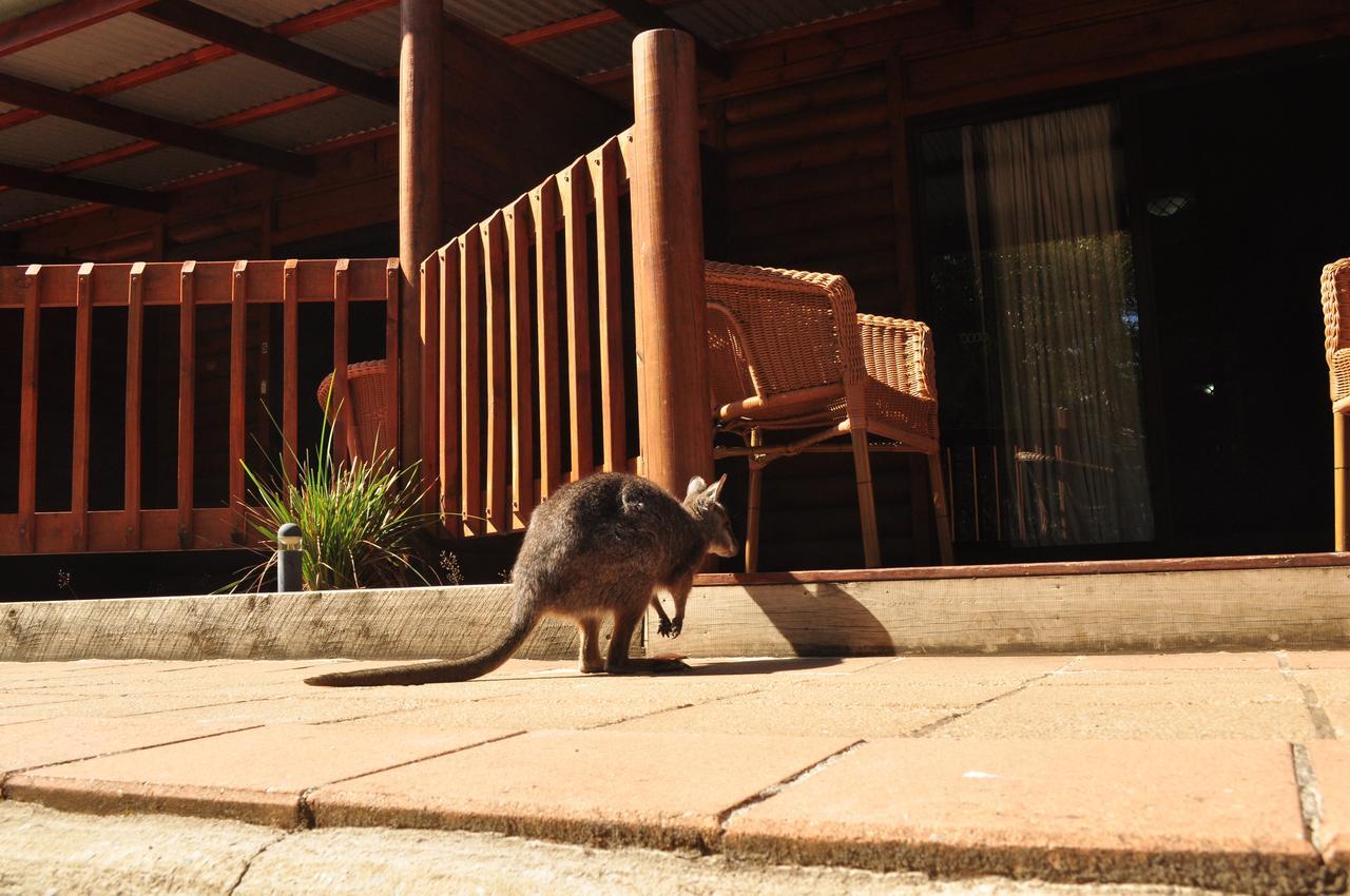 Kangaroo Island Wilderness Retreat Flinders Chase Eksteriør bilde