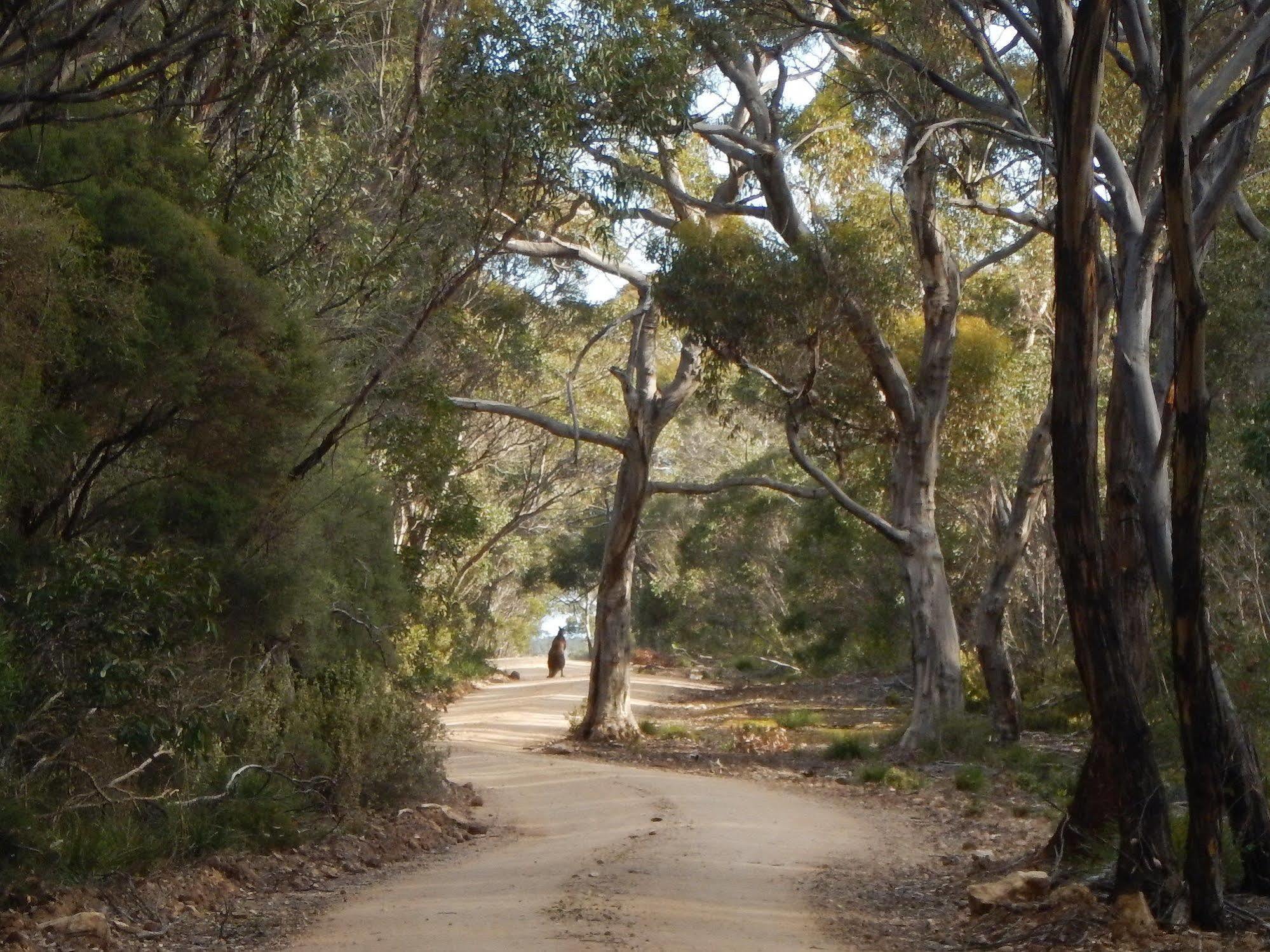 Kangaroo Island Wilderness Retreat Flinders Chase Eksteriør bilde